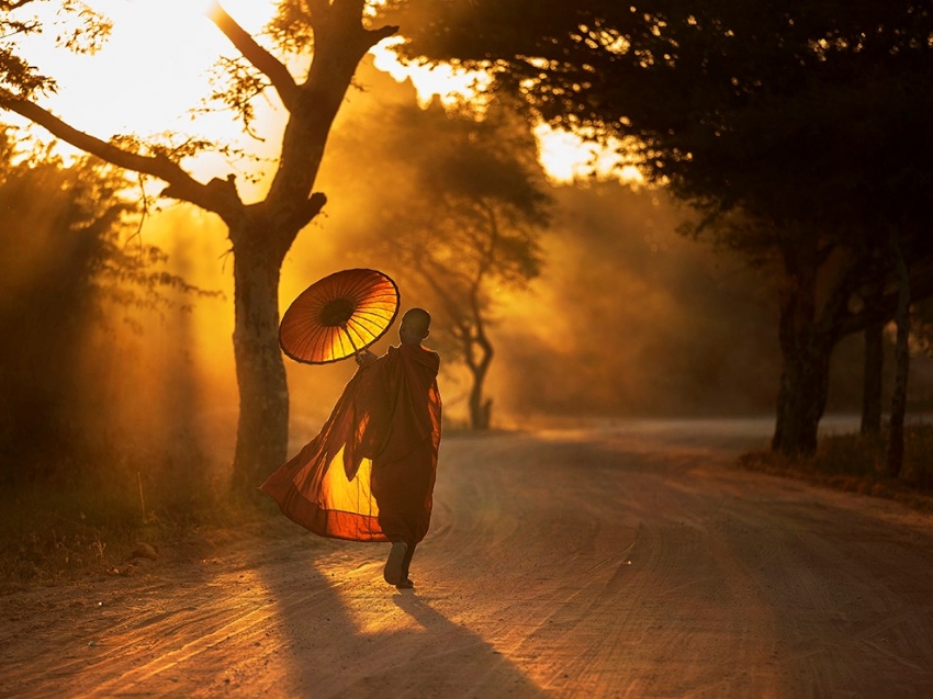 Đạo Phật và nghệ thuật hóa giải sân hận