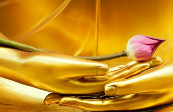 Giết gì được Phật khen?