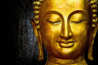 Hạnh phúc nhặt bên đường