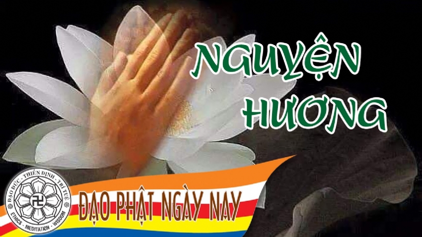 Hồng danh sám hối