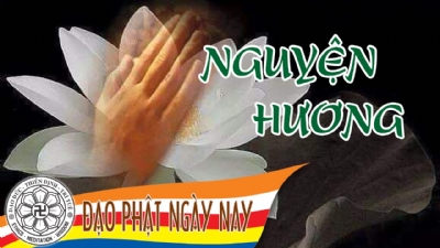 Hồng danh sám hối