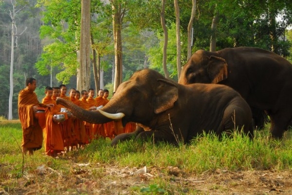 Pháp hành bố thí