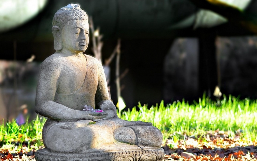 Pháp lạc trong tu học