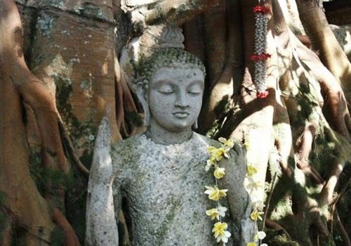 Tâm linh Phật giáo và xã hội đương đại