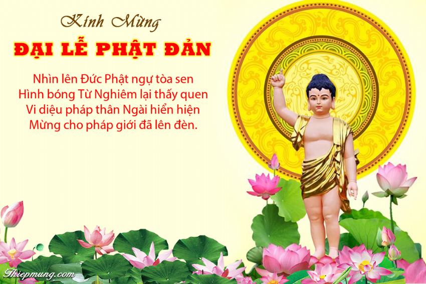 Ý nghĩa Phật Đản