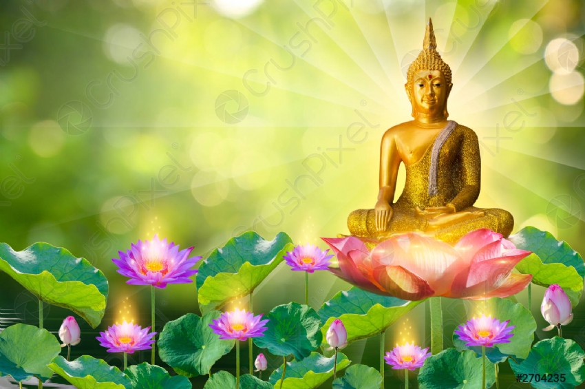 Hạt bụi trong kinh Pháp Hoa