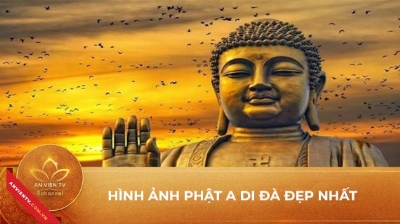 Con đường ta đi