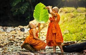 Covid có phải là nguy hiểm nhất hay không?