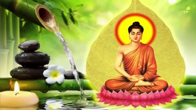 Lỗi lầm sân hận