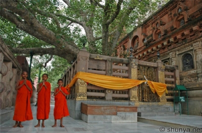 Pippala! Nỗi Nhớ