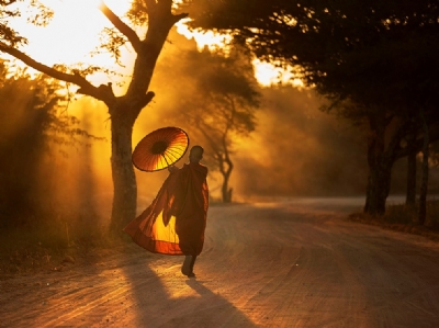 Tham lam là liều thuốc độc