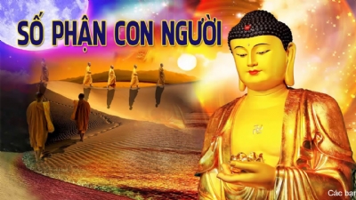 Tình Thầy Biển Cả